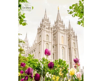 Salt Lake Temple - Digital Download (042)
