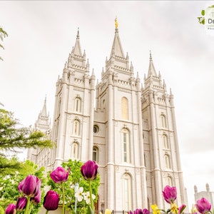 Salt Lake-tempel - Digitale download (001)