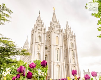 Salt Lake Temple - Digital Download (001)