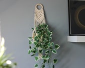 Macrame Wall Planter Macrame Planter for 12cm Pot Plant Lover Gifts