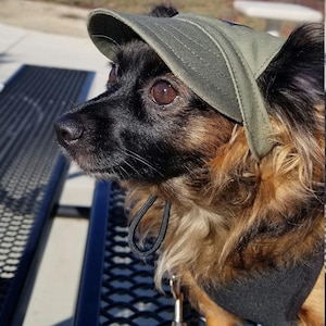 HANDMADE PET HAT for smaller to medium size dog or cats. Custom Dog Hat, Dog Baseball Cap, Dog Visor, Canvas Fabric,  Adjustable Cord Lock