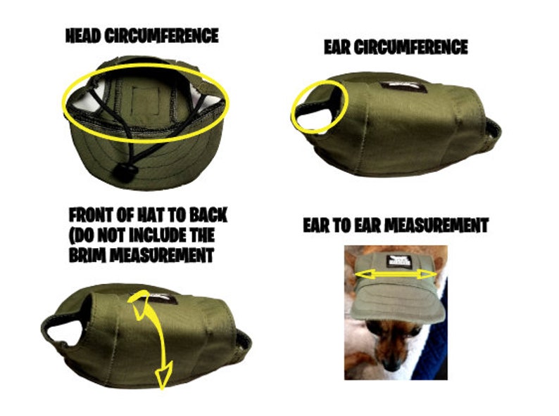May include: Diagram showing how to measure a dog's head and ears for a green canvas dog hat.  The text reads "Head Circumference", "Ear Circumference", "Front of Hat to Back (Do Not Include the Brim Measurement)", and "Ear to Ear Measurement".