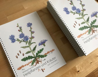 Medicinal plants and herbs coloring book, wild-growing plants, getting to know plants