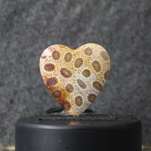 Fossil coral cabochon