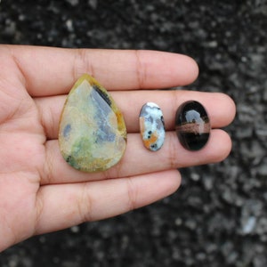 Blue opalized Wood cabochon 3pcs