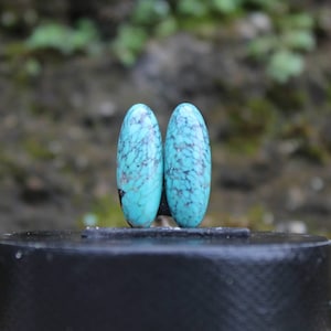Turquoise Nevada pair