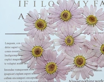 May include: A collection of dried, light purple daisy-like flowers with yellow centers, arranged on a white surface with printed text. The text includes the phrase "IF I LOSE MY FAME" and a quote about trying things.