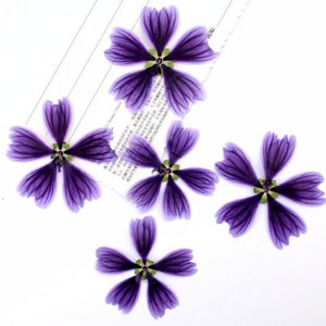 Pressed Flowers Mallow,Mixed purple 6 PCS/Pack,Pressed Flower,Large Dried flower (4-5cm) Dry Flat Real Flower Preserved Wild Dried flower