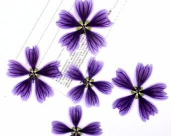 May include: Five dried purple flowers with five petals each. The flowers are arranged on a white surface.