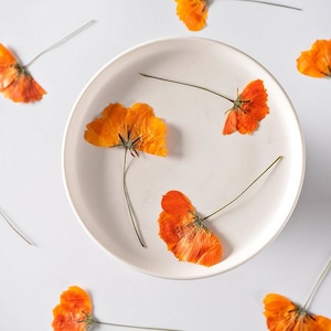 Pressed Flower,Cosmos sulphureus Pressed Flower,12 PCS/pack,Pressed Orange Dried Flower Stem Real Pressed Flower Dry Natural Pressed Flowers