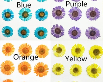 May include: Assortment of pressed flowers in blue, purple, orange, and yellow. The flowers are arranged in four rows, with each row containing a different color. The flowers are all the same size and shape, and they have a delicate, pressed appearance.