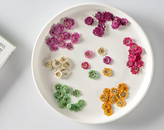 Small Chrysanthemum Pressed Flowers: nail flower Resin Crafts, Decoupage (10 PCS)