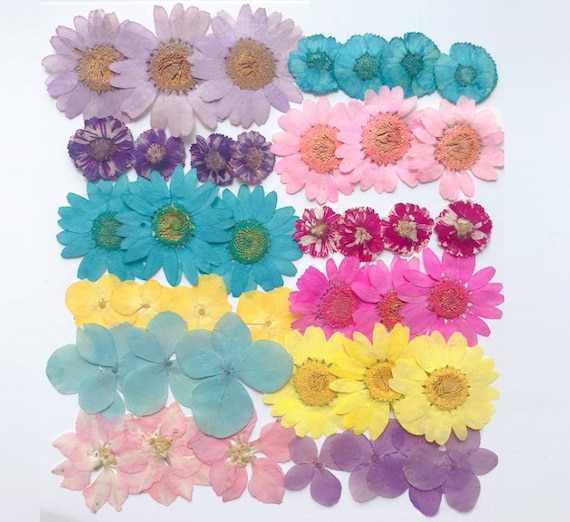 40 PCS Dried Pressed Flowers for Crafts, Pressed Flowers Mixed