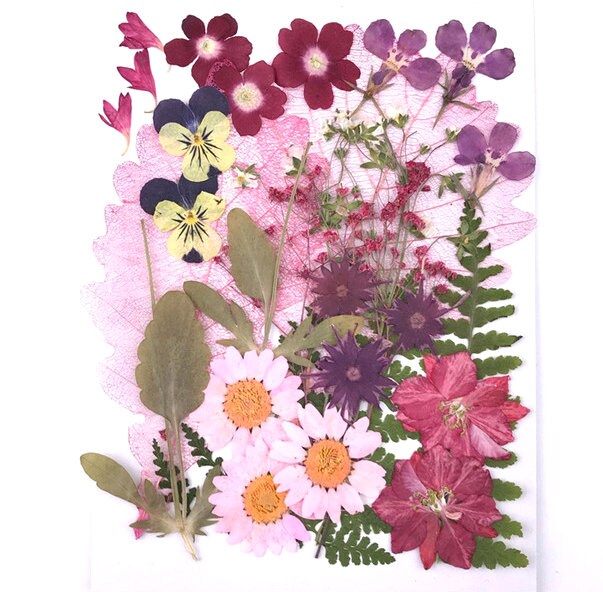 Dried Flowers Bulk Pressed Flowera Pack of 1825 PCS Dried Etsy