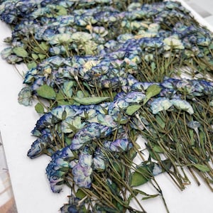 Op de afbeelding: Een bos gedroogde blauwe en paarse bloemen met groene stelen. De bloemen zijn in rijen gerangschikt en klaar om te worden gebruikt voor knutselen.