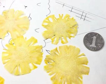 Pressed Pineapple, Dried Pineapple Fruit Set (2 PCS)resin Dried Pineapple Fruit