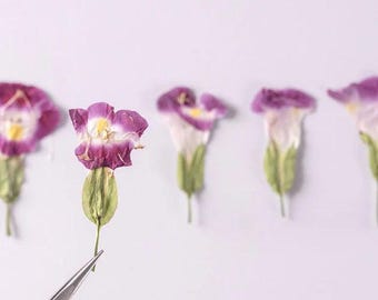 Flores de violeta de verano prensadas color rosa - 12 unidades a granel