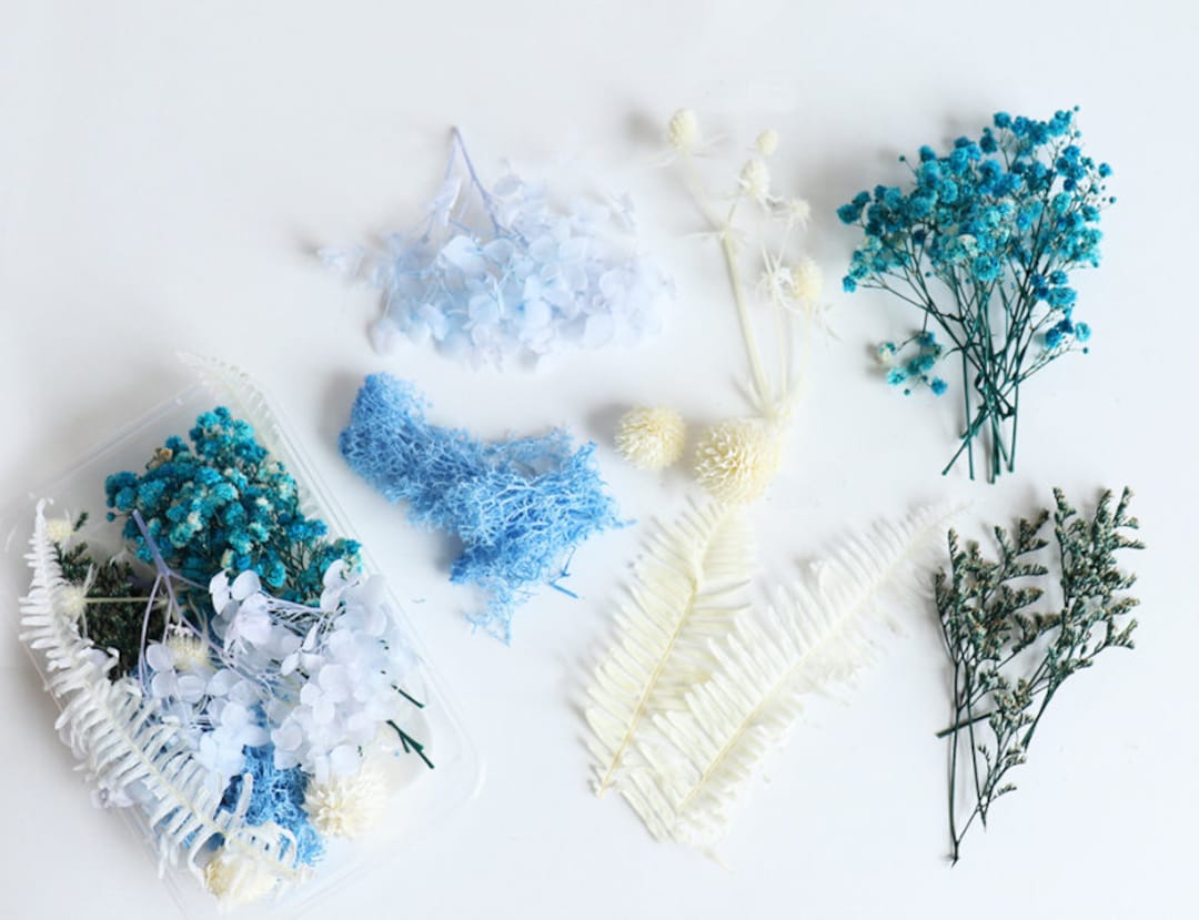 Dried Flowers Bulk Dried Flower,1 Set Blue Dried Flower,mix Assorted
