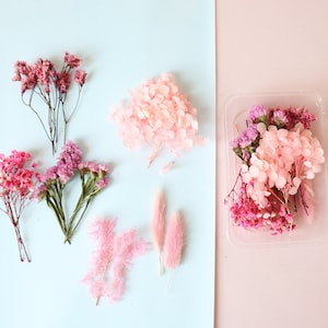 Fiori secchi Fiori secchi alla rinfusa, 1 set di fiori secchi rosa, confezione assortita di varietà di fiori secchi veri, fiori rosa misti