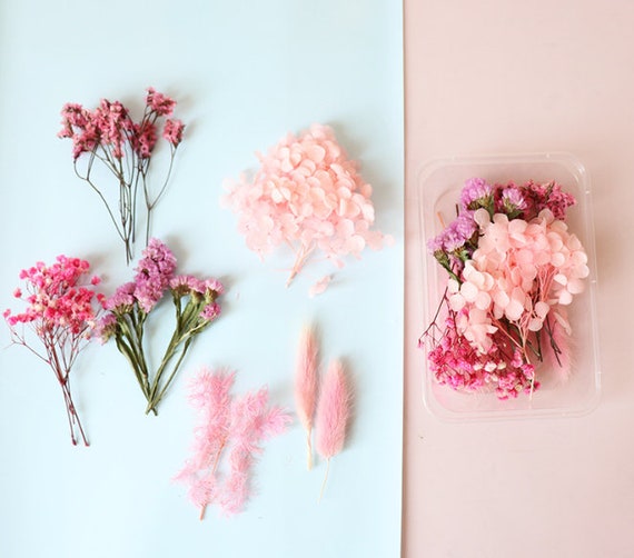 Dried flowers Bulk dried flower,1 set pink dried flower,Mix Assorted  Variety Pack Real Dry Flower,Mixed pink Floral