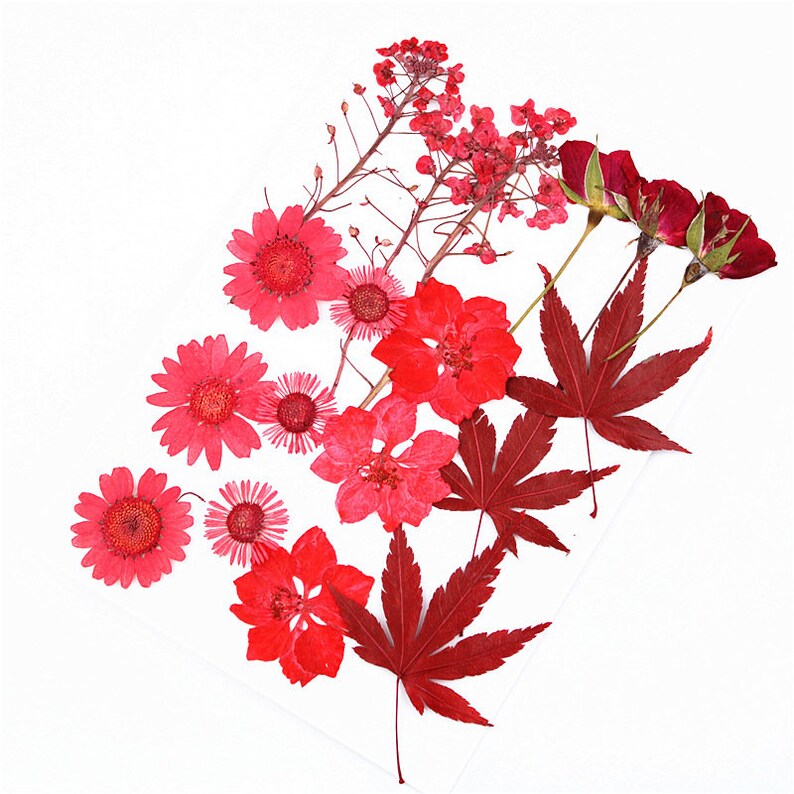flower back packs