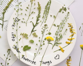 Hojas de flores prensadas naturales, tallos de follaje floral verde (12 unidades)