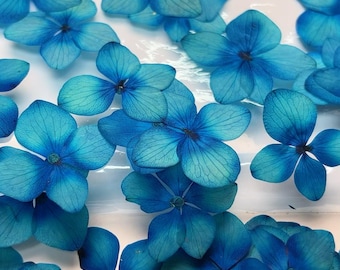Pressed Flowers,blue Pressed Flowers,Set of 12 PCS, Pressed dried flower,Flat Flowers,Hydrangea dried flower petals,flower (1.5-2cm)