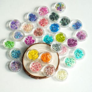 May include: A selection of small, clear plastic pots filled with dried flowers in a variety of colours, such as pink, blue, yellow, and green. The pots are arranged on a wooden slice and a white surface.