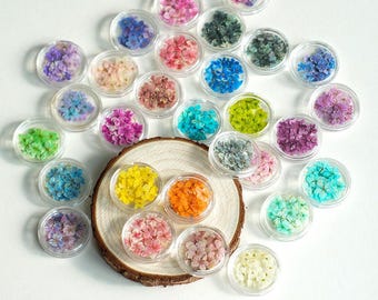 Dried Flowers for Nails, Mini Nail Flowers, Pressed Flowers for Resin, 10PCS/Pack Manicure Dried Flowers,Small dried flowers