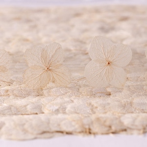 Natural Hydrangea dried flower,white Hydrangea flowers 12PCS/Pack,dried flower,Real Hydrangea Dried flowers ,dry flower