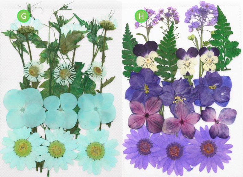flower back packs