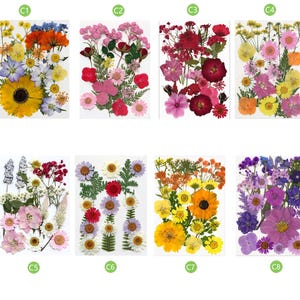 ドライ押し花、ドライフラワー、ドライフラットフラワー、ミックス押し花、ジュエリー DIY 樹脂用ドライフラワー、グリーティング カード
