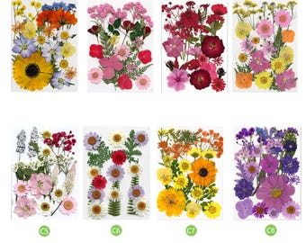 Mélange de fleurs séchées pressées : bijoux et créations artisanales en résine