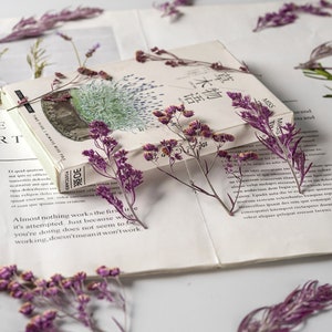 Dried Pressed Flower,12 PCS/Pack,purple Pressed Flower, Real Dry purple Flower Stems Tiny, purple Dry Preserved Flowers Small purple Flowers