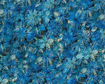 Flor prensada, Symplocos paniculata prensada, 12 piezas/paquete, flor azul seca, flor azul real, pétalos de flores secas, flores secas pequeñas