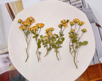A Pack of 6 PCS,Dried Pressed,Yellow Rose Stems Pressed, Real Dry Rose Flower Stems Tiny, Rose Buds Dry Preserved Flowers Small Rose Buds