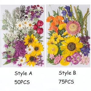 Gepresste Blumen, gemischte getrocknete gepresste Blumen, 50-100 STÜCKE Kombinationspackungen getrocknete Blumenblätter, Harz Schmuck, Karte gepresste Blume, Maniküre DIY