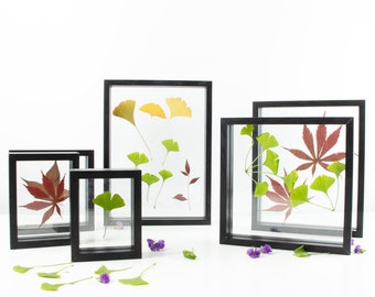 Herbarium Frame for Pressed Flower Art, Double Glass Specimen Frame, Preserved Flowers & Dried Flowers Frame, Botanical Art,Desk Accessories
