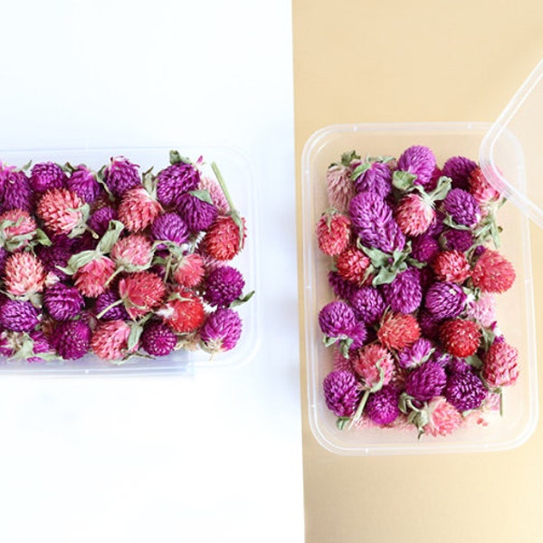 Dried Flowers Bulk Etsy