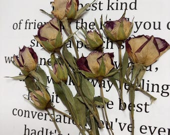 Pressed flowers,8 PCS/Pack,Deep purple dried Pressed flowers Bud,dried flower,Real Dried Pressed flowers,Purple rose,Red rose Valentine gift