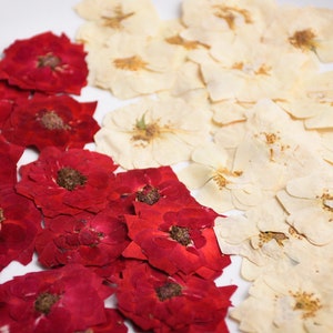 Pressed Flower Art, Dried Pressed Flowers Mixed Pack for Crafts, Dried  Flower Wedding, Card Making, Floral Craft, Scrapbooking, Dry Flowers 