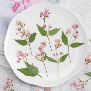 Op de afbeelding: Een witte, onregelmatig gevormde plaat versierd met delicate roze bloemen en groene bladeren. De bloemstukken zijn over de plaat verspreid, waardoor een natuurlijke, botanische esthetiek ontstaat. De bloemen hebben kleine, geclusterde bloesems.