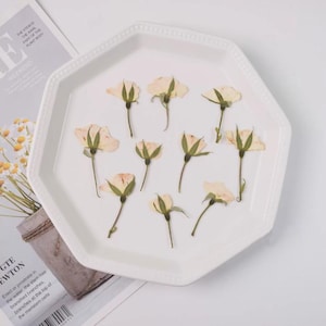 以下が含まれることがあります： 白い八角形のセラミックプレートに、薄いピンク色のドライローズがいくつか入っています。バラはプレートに配置され、茎と緑の葉が見えます。テキストが書かれた雑誌が背景に一部見えています。