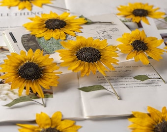 Pressed Flower,Sunflower Pressed Flower,Set of 2 PCS,Pressed Yellow Dried Flower Stem Real Pressed Flowers Dry Natural Preserved Flowers