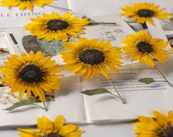 Geperste Bloem, Zonnebloem Geperste Bloem, Set van 2 STUKS, Geperste Gele Gedroogde Bloem Stengel Echte Geperste Bloemen Droge Natuurlijke Geconserveerde Bloemen