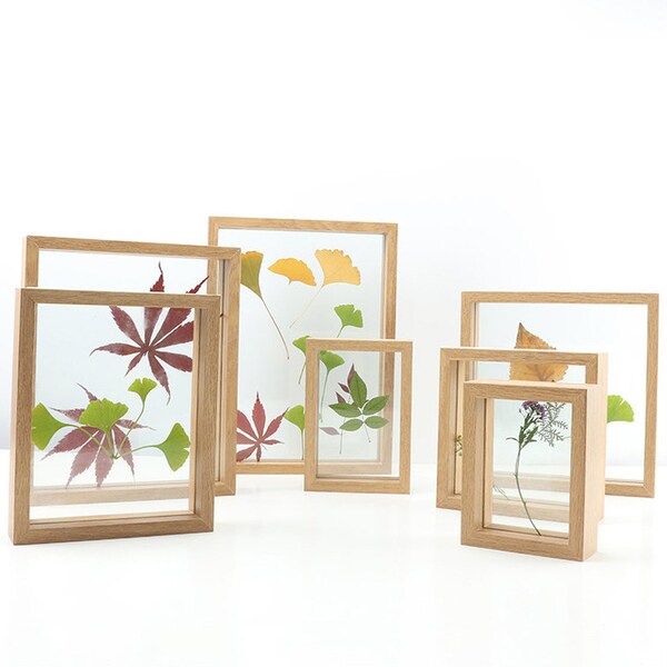 Herbarium Frame for Pressed Flower Art, Double Glass Specimen Frame, Preserved Flowers & Dried Flowers Frame, Botanical Art,Desk Accessories