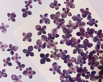 pressed flowers,small purple pressed flowers,12 PCS/PACK, purple flower,Dried flower,dried flowers,pressed flower,Hydrangea pressed flower