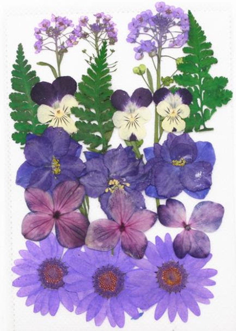 flower back packs