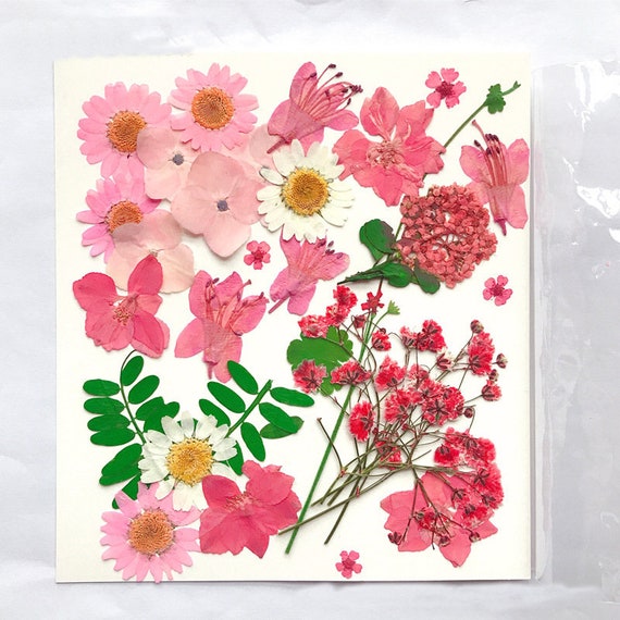 Small Yellow Pressed Dry Flowers, Dried Flat Flower Packs, Pressed Flowers  for Resin Crafts 