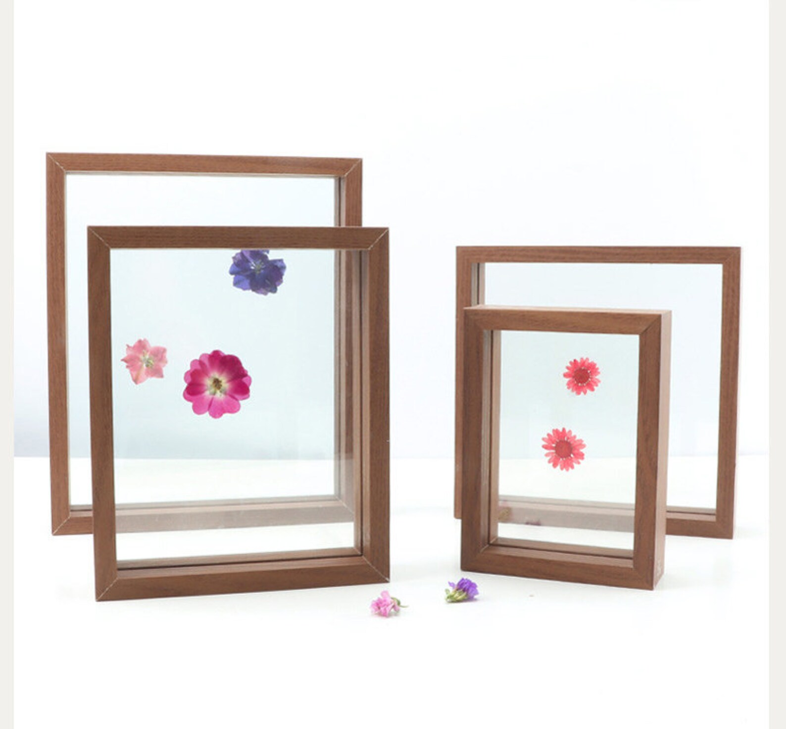 Herbarium Frame for Pressed Flower Art Double Glass Specimen Etsy